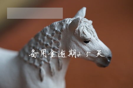 备用金逾期25天