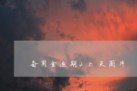 备用金逾期25天图片