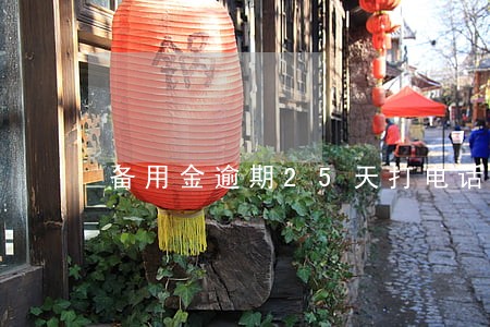 备用金逾期25天打电话让还 备用金逾期25天打电话让还
