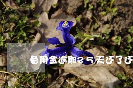 备用金逾期25天还了还有吗 备用金逾期25天还了还有吗