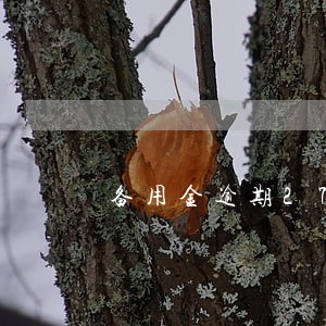备用金逾期27天 备用金逾期27天