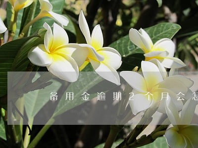 备用金逾期2个月会怎么样 备用金逾期2个月会怎么样