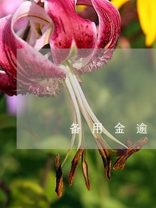 备用金逾期2个月还了能用吗 备用金逾期2个月还了能用吗