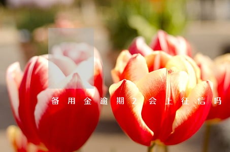 备用金逾期2会上征信吗 备用金逾期2会上征信吗