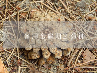 备用金逾期2分钟 备用金逾期2分钟