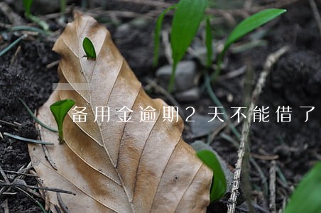 备用金逾期2天不能借了 备用金逾期2天不能借了