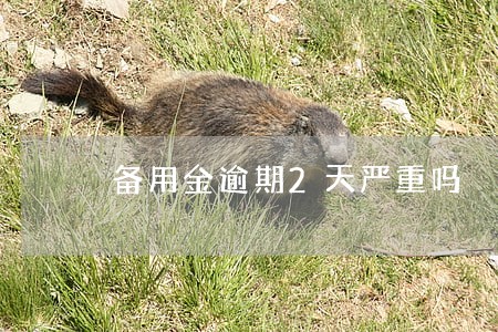 备用金逾期2天严重吗 备用金逾期2天严重吗