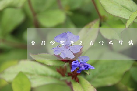 备用金逾期2天什么时候能取 备用金逾期2天什么时候能取