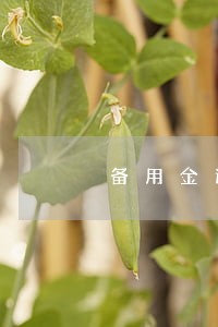 备用金逾期2天会上征信 备用金逾期2天会上征信