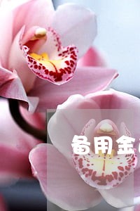 备用金逾期2天会怎么样 备用金逾期2天会怎么样