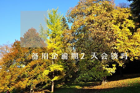 备用金逾期2天会锁吗