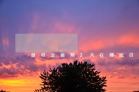 备用金逾期2天在哪能找到还款