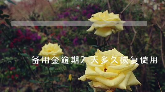 备用金逾期2天多久恢复使用 备用金逾期2天多久恢复使用