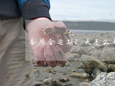 备用金逾期2天怎么不能用 备用金逾期2天怎么不能用