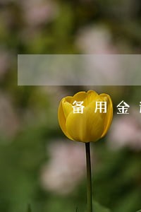 备用金逾期2天怎么还款 备用金逾期2天怎么还款