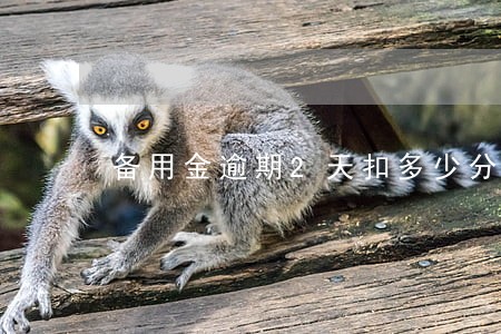 备用金逾期2天扣多少分 备用金逾期2天扣多少分