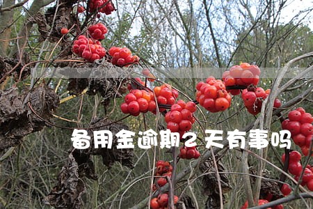 备用金逾期2天有事吗 备用金逾期2天有事吗