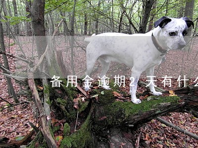备用金逾期2天有什么区别 备用金逾期2天有什么区别