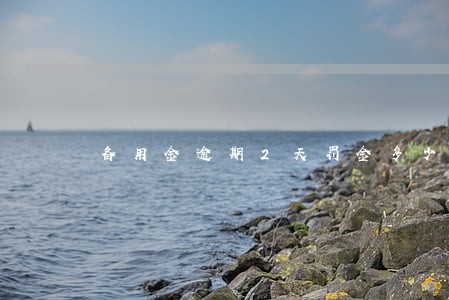 备用金逾期2天罚金多少 备用金逾期2天罚金多少