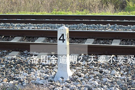备用金逾期2天要不要紧 备用金逾期2天要不要紧