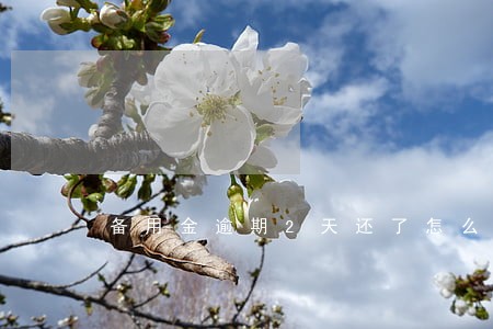 备用金逾期2天还了怎么借不了 备用金逾期2天还了怎么借不了