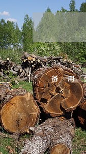 备用金逾期2天还了还能用吗 备用金逾期2天还了还能用吗