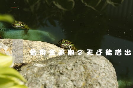 备用金逾期2天还能借出来吗 备用金逾期2天还能借出来吗