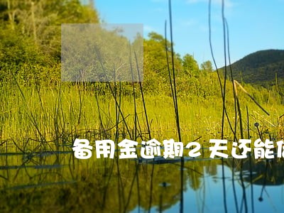 备用金逾期2天还能借吗 备用金逾期2天还能借吗