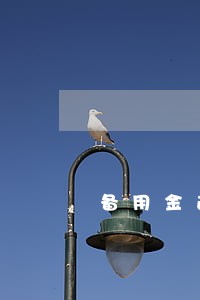 备用金逾期2小时关闭了咋办