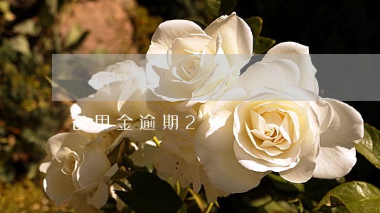 备用金逾期2年 备用金逾期2年