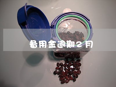 备用金逾期2月 备用金逾期2月