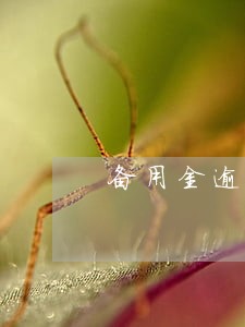 备用金逾期2次怎么样 备用金逾期2次怎么样