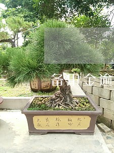 备用金逾期2次被关闭怎么开通 备用金逾期2次被关闭怎么开通