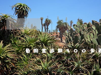 备用金逾期300多天会怎么办 备用金逾期300多天会怎么办