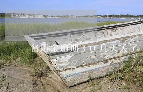 备用金逾期30几天关了