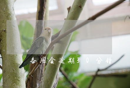 备用金逾期30分钟 备用金逾期30分钟