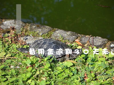 备用金逾期30天未还怎么样 备用金逾期30天未还怎么样