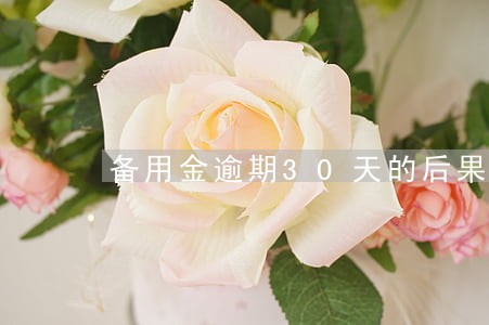 备用金逾期30天的后果 备用金逾期30天的后果