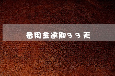 备用金逾期33天 备用金逾期33天