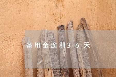 备用金逾期36天 备用金逾期36天