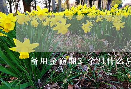 备用金逾期3个月什么后果 备用金逾期3个月什么后果