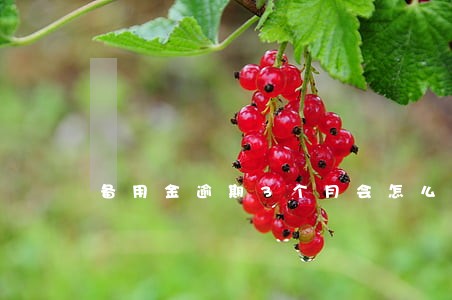 备用金逾期3个月会怎么样 备用金逾期3个月会怎么样