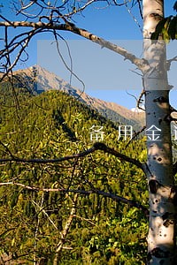 备用金逾期3个月会怎样 备用金逾期3个月会怎样