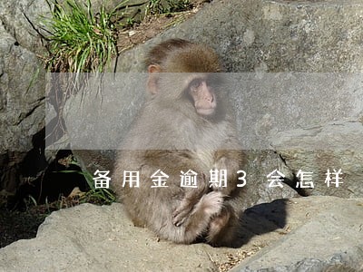 备用金逾期3会怎样 备用金逾期3会怎样
