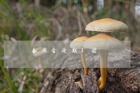 备用金逾期3团 备用金逾期3团