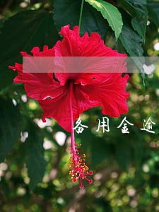 备用金逾期3天会上征信吗 备用金逾期3天会上征信吗