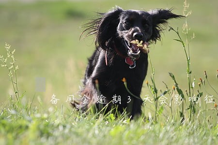 备用金逾期3天会影响征信吗