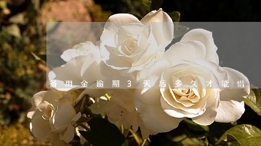 备用金逾期3天后多久才能借