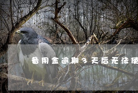 备用金逾期3天后无法使用 备用金逾期3天后无法使用