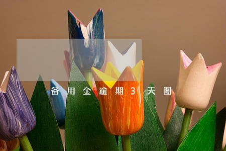 备用金逾期3天图 备用金逾期3天图